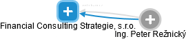 Financial Consulting Strategie, s.r.o. - náhled vizuálního zobrazení vztahů obchodního rejstříku