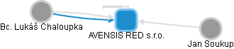 AVENSIS RED s.r.o. - náhled vizuálního zobrazení vztahů obchodního rejstříku