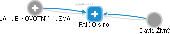PAICO s.r.o. - náhled vizuálního zobrazení vztahů obchodního rejstříku