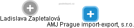 AMJ Prague import-export, s.r.o. - náhled vizuálního zobrazení vztahů obchodního rejstříku