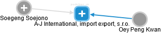 A-J International, import export, s.r.o. - náhled vizuálního zobrazení vztahů obchodního rejstříku