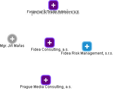 Fidea Consulting, a.s. - náhled vizuálního zobrazení vztahů obchodního rejstříku