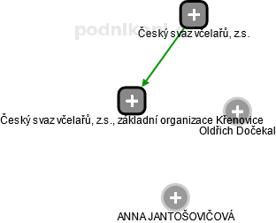 Český svaz včelařů, z.s., základní organizace Křenovice - náhled vizuálního zobrazení vztahů obchodního rejstříku