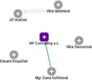 VIP Consulting a.s. - náhled vizuálního zobrazení vztahů obchodního rejstříku