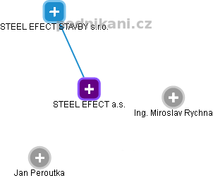 STEEL EFECT a.s. - náhled vizuálního zobrazení vztahů obchodního rejstříku