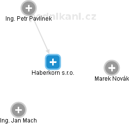 Haberkorn s.r.o. - náhled vizuálního zobrazení vztahů obchodního rejstříku