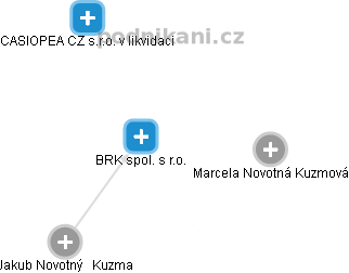 BRK spol. s r.o. - náhled vizuálního zobrazení vztahů obchodního rejstříku