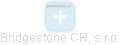 Bridgestone CR, s.r.o. - náhled vizuálního zobrazení vztahů obchodního rejstříku