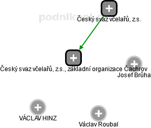 Český svaz včelařů, z.s., základní organizace Čachrov - náhled vizuálního zobrazení vztahů obchodního rejstříku