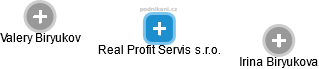 Real Profit Servis s.r.o. - náhled vizuálního zobrazení vztahů obchodního rejstříku