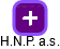 H.N.P. a.s. - náhled vizuálního zobrazení vztahů obchodního rejstříku