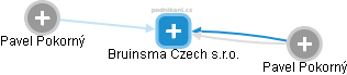 Bruinsma Czech s.r.o. - náhled vizuálního zobrazení vztahů obchodního rejstříku