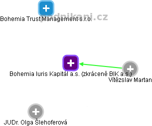 Bohemia Iuris Kapitál a.s.  (zkráceně BIK a.s.) - náhled vizuálního zobrazení vztahů obchodního rejstříku