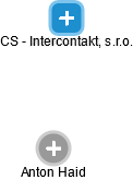 CS - Intercontakt, s.r.o. - náhled vizuálního zobrazení vztahů obchodního rejstříku