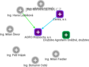 AGRO Rozsochy, a.s. - náhled vizuálního zobrazení vztahů obchodního rejstříku