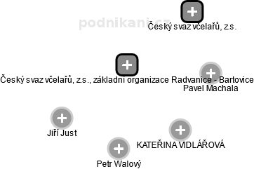 Český svaz včelařů, z.s., základní organizace Radvanice - Bartovice - náhled vizuálního zobrazení vztahů obchodního rejstříku