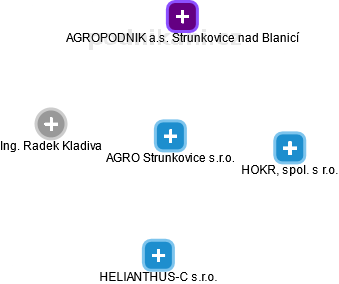 AGRO Strunkovice s.r.o. - náhled vizuálního zobrazení vztahů obchodního rejstříku