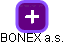 BONEX a.s. - náhled vizuálního zobrazení vztahů obchodního rejstříku