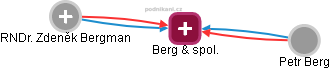 Berg & spol. - náhled vizuálního zobrazení vztahů obchodního rejstříku
