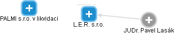 L.E.R. s.r.o. - náhled vizuálního zobrazení vztahů obchodního rejstříku