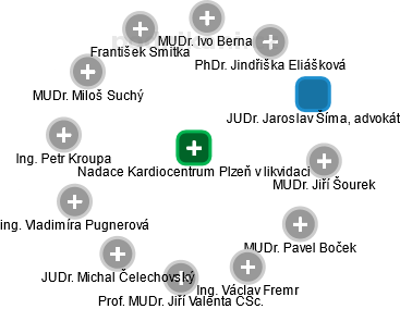 Nadace Kardiocentrum Plzeň v likvidaci - náhled vizuálního zobrazení vztahů obchodního rejstříku