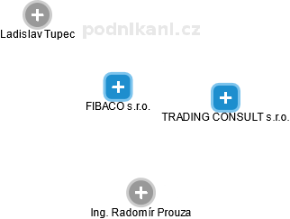 FIBACO s.r.o. - náhled vizuálního zobrazení vztahů obchodního rejstříku