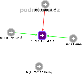 REPLAC - BM a.s. - náhled vizuálního zobrazení vztahů obchodního rejstříku