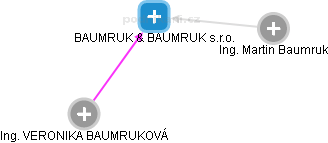 BAUMRUK & BAUMRUK s.r.o. - náhled vizuálního zobrazení vztahů obchodního rejstříku