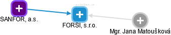 FORSI, s.r.o. - náhled vizuálního zobrazení vztahů obchodního rejstříku