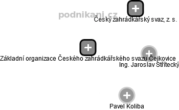 Základní organizace Českého zahrádkářského svazu Čejkovice - náhled vizuálního zobrazení vztahů obchodního rejstříku