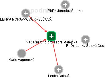 Nadační fond profesora Matějčka - náhled vizuálního zobrazení vztahů obchodního rejstříku