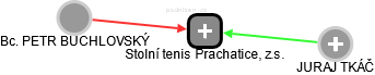Stolní tenis Prachatice, z.s. - náhled vizuálního zobrazení vztahů obchodního rejstříku