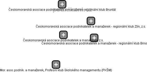 Českomoravská asociace podnikatelek a manažerek, z.s. - náhled vizuálního zobrazení vztahů obchodního rejstříku