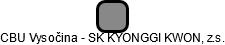 CBU Vysočina - SK KYONGGI KWON, z.s. - náhled vizuálního zobrazení vztahů obchodního rejstříku