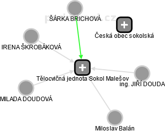 Tělocvičná jednota Sokol Malešov - náhled vizuálního zobrazení vztahů obchodního rejstříku
