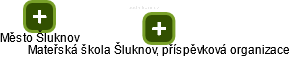 Mateřská škola Šluknov, příspěvková organizace - náhled vizuálního zobrazení vztahů obchodního rejstříku