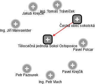 Tělocvičná jednota Sokol Ostopovice - náhled vizuálního zobrazení vztahů obchodního rejstříku