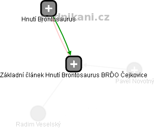 Základní článek Hnutí Brontosaurus BRĎO Čejkovice - náhled vizuálního zobrazení vztahů obchodního rejstříku