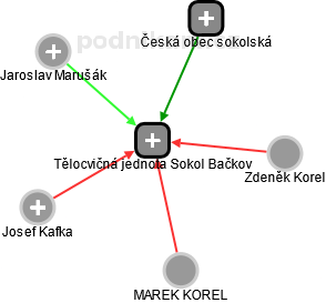 Tělocvičná jednota Sokol Bačkov - náhled vizuálního zobrazení vztahů obchodního rejstříku