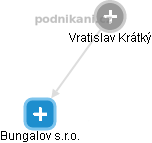  Vratislav K. - Vizualizace  propojení osoby a firem v obchodním rejstříku