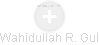 Wahidullah R. Gul - Vizualizace  propojení osoby a firem v obchodním rejstříku