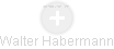 Walter Habermann - Vizualizace  propojení osoby a firem v obchodním rejstříku