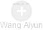 Wang Aiyun - Vizualizace  propojení osoby a firem v obchodním rejstříku