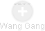 Wang Gang - Vizualizace  propojení osoby a firem v obchodním rejstříku