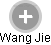 Wang Jie - Vizualizace  propojení osoby a firem v obchodním rejstříku