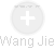 Wang Jie - Vizualizace  propojení osoby a firem v obchodním rejstříku