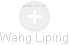 Wang Liping - Vizualizace  propojení osoby a firem v obchodním rejstříku