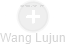Wang Lujun - Vizualizace  propojení osoby a firem v obchodním rejstříku