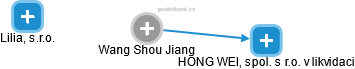Wang Shou Jiang - Vizualizace  propojení osoby a firem v obchodním rejstříku