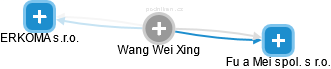 Wang Wei Xing - Vizualizace  propojení osoby a firem v obchodním rejstříku